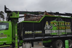AJ's Tree Service Hauling Away