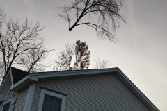 AJ's Tree Service Tree Removal
