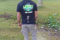 AJ's Tree Service Tree Removal
