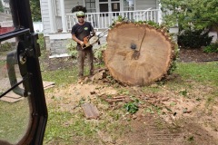AJ's Tree Service Tree Removal