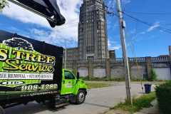 AJ's Tree Service City Tree Trimming