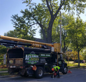 About AJ's Tree Service