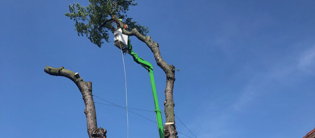 AJ's Tree Service